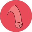 ANZUP Cancer, ANZUP